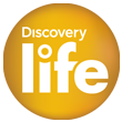 Logo Discovery Life