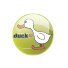 Logo Duck TV