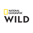 Logo National Geographic Wild
