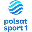 Logo Polsat Sport 1